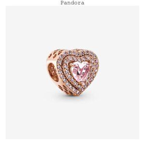 Pandora New Bracelet Charms